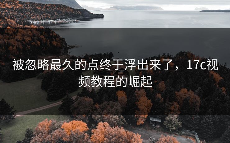 被忽略最久的点终于浮出来了，17c视频教程的崛起